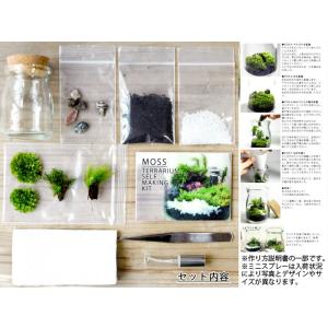 苔庭テラリウム手作りキット 植物 DIY ギフ...の詳細画像3