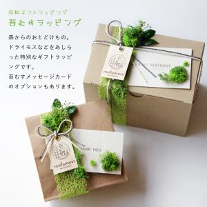 苔庭テラリウム手作りキット 植物 DIY ギフ...の詳細画像5