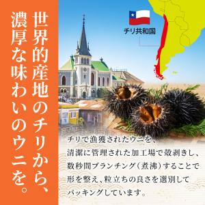 チリ産 完全無添加 お刺身うに 100g ミョ...の詳細画像1