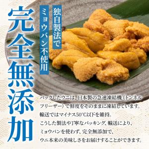 チリ産 完全無添加 お刺身うに 100g ミョ...の詳細画像2