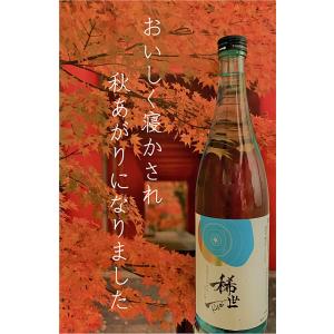 安野希世乃さんプロデュース 純米大吟醸酒「稀世（きせい）新酒 720ml 特典付」R5年涌谷町産「蔵...