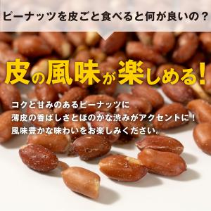 魅惑の揚げ塩ピーナッツ 皮付き 300g 塩味...の詳細画像4