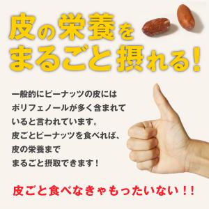 魅惑の揚げ塩ピーナッツ 皮付き 300g 塩味...の詳細画像5