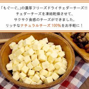 魅惑の濃厚フリーズドライチェダーチーズ 240...の詳細画像1