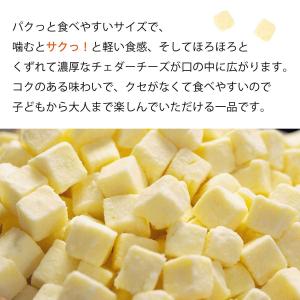 魅惑の濃厚フリーズドライチェダーチーズ 240...の詳細画像3