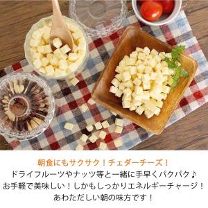 魅惑の濃厚フリーズドライチェダーチーズ 240...の詳細画像4
