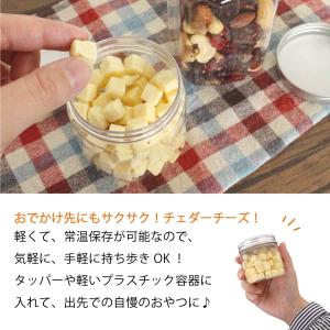 魅惑の濃厚フリーズドライチェダーチーズ 240...の詳細画像5