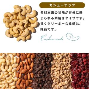 魅惑のフルーツ&ナッツ 240g ドラ...の詳細画像5