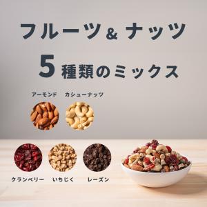 魅惑のフルーツ&ナッツ 480g ドラ...の詳細画像1