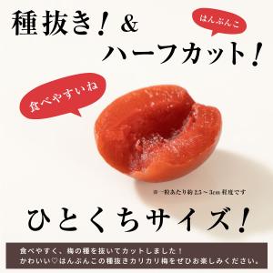 魅惑の種抜きカリカリ梅 600g かりかりうめ...の詳細画像4