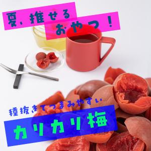 魅惑の種抜きカリカリ梅 600g かりかりうめ...の詳細画像1