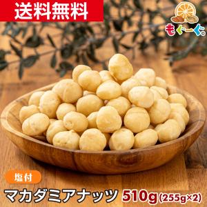 魅惑のマカダミアナッツ塩付き 510g 木の実 ...の商品画像