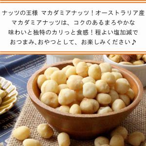 魅惑のマカダミアナッツ塩付き 510g 木の実...の詳細画像1