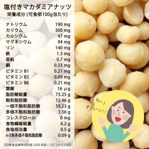 魅惑のマカダミアナッツ塩付き 510g 木の実...の詳細画像4
