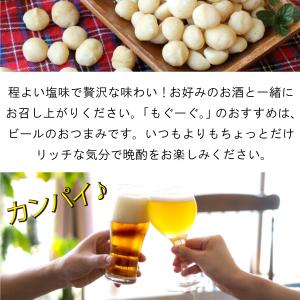 魅惑のマカダミアナッツ塩付き 510g 木の実...の詳細画像5