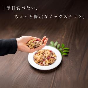 ミックスナッツ 300g もぐーぐ。 ドライフ...の詳細画像1