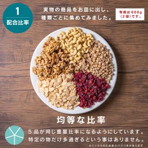 ミックスナッツ 300g もぐーぐ。 ドライフ...の詳細画像3