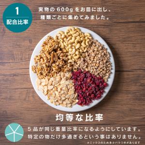ミックスナッツ 600g もぐーぐ。 ドライフ...の詳細画像3