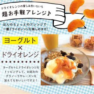 魅惑のドライオレンジ 540g マンダリンオレ...の詳細画像3
