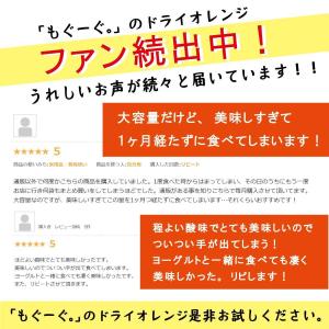 魅惑のドライオレンジ 540g マンダリンオレ...の詳細画像4