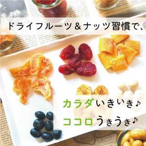 魅惑のドライオレンジ 540g マンダリンオレ...の詳細画像5