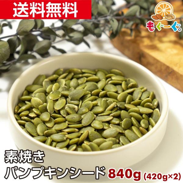 魅惑のパンプキンシード 840g アルミ袋 チャック 友口 TOMOGUCHI メール便