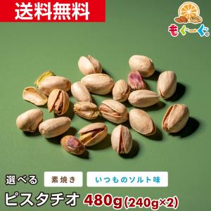 友口 魅惑の選べるピスタチオ 480g ナッツ 素焼き