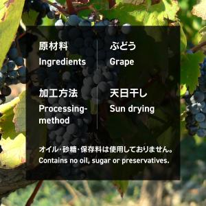 魅惑のノンオイルレーズン 700g カリフォル...の詳細画像1