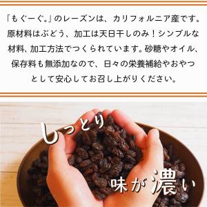 魅惑のノンオイルレーズン 700g カリフォル...の詳細画像2