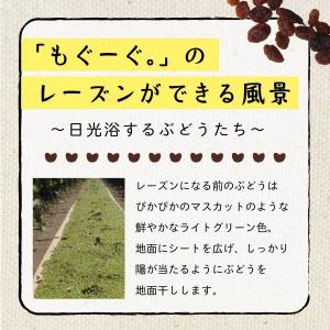 魅惑のノンオイルレーズン 700g カリフォル...の詳細画像3