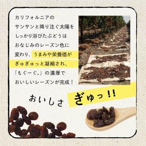 魅惑のノンオイルレーズン 700g カリフォル...の詳細画像4