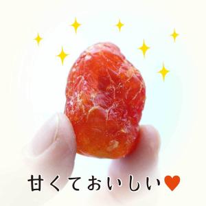 魅惑のチェリーとまと 600g あまい 甘い ...の詳細画像2