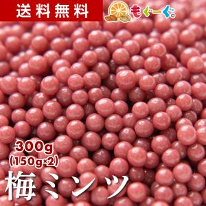 TOMOGUCHI（友口） 魅惑の梅ミンツ 750g 紀州産梅 大容量 大人買い