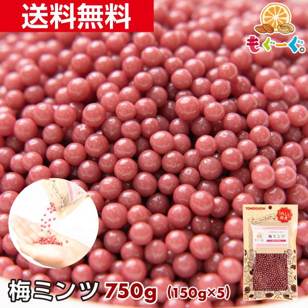魅惑の梅ミンツ 750g 紀州産梅 大容量 大人買い 送料無料 おやつ モグーグ 送料無料 駄菓子 ...