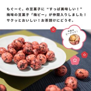 魅惑の梅ピー 288g 和菓子 梅 ウメ うめ...の詳細画像1