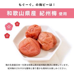 魅惑の梅ピー 288g 和菓子 梅 ウメ うめ...の詳細画像2