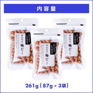 魅惑の梅ピー 261g 和菓子 梅 ウメ うめ...の詳細画像5