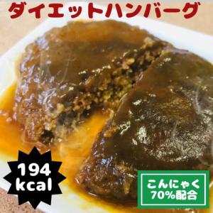 食品 国産 ダイエットハンバーグ 66kcal 送料無料