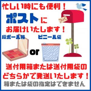 馬肉さくらドライソーセージ55g 1000円ポ...の詳細画像1