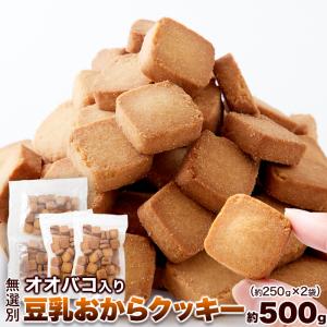 【15％OFFクーポン配布中】【無選別】オオバコ入り豆乳おからクッキー500g 豆乳おからクッキー オオバコ 訳あり おからクッキー ダイエット