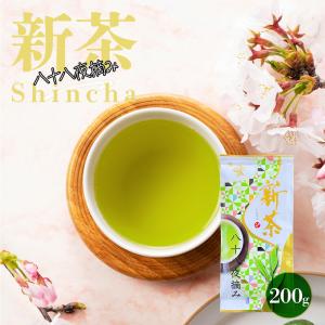 新茶 2026 新茶でお届け お茶 緑茶 お茶の葉 100g 限定特蒸 深蒸し一