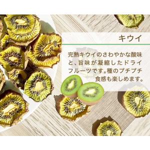 ドライフルーツ キウイ 国産 無添加 果物 砂...の詳細画像2
