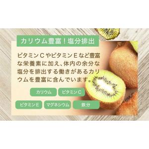 ドライフルーツ キウイ 国産 無添加 果物 砂...の詳細画像3