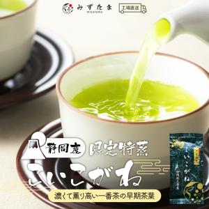 高級 お茶 茶葉 お茶の葉 緑茶 100g 静岡茶 煎茶 深蒸し茶 無添加 日本茶 限定特蒸 こいこがね｜moguhagu