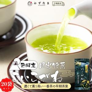 高級 お茶 茶葉 お茶の葉 緑茶 たっぷり 2キロ 100g×20袋 限定特蒸 こいこがね 煎茶 深蒸し茶 無添加 日本茶 静岡茶 セット｜moguhagu