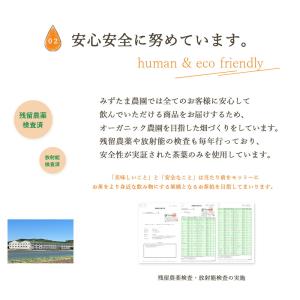 お中元 2026 ギフト 和紅茶 水出し 植物...の詳細画像5