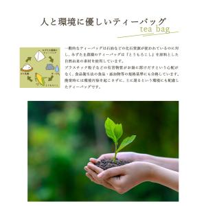 玄米茶 お茶 植物由来ティーバッグ マイボトル...の詳細画像2