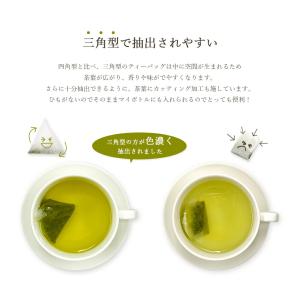 玄米茶 お茶 植物由来ティーバッグ マイボトル...の詳細画像3