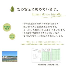 玄米茶 お茶 植物由来ティーバッグ マイボトル...の詳細画像5