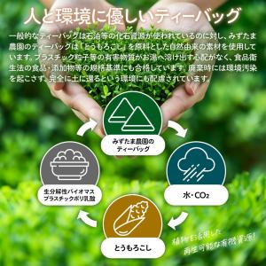 ほうじ茶 お茶 ノンカフェイン 植物由来ティー...の詳細画像4